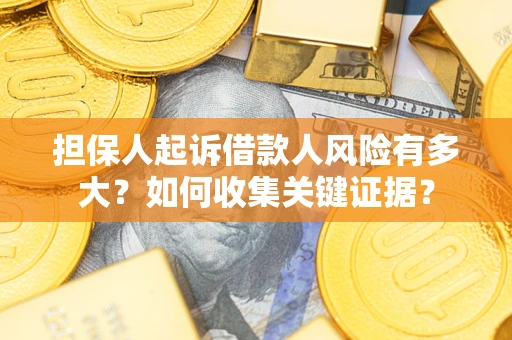 武汉担保人起诉借款人风险有多大？如何收集关键证据？