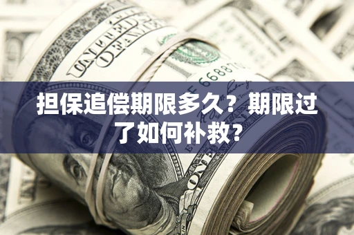 武汉担保追偿期限多久？期限过了如何补救？