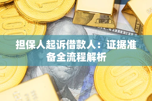武汉担保人起诉借款人：证据准备全流程解析