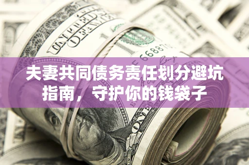 武汉夫妻共同债务责任划分避坑指南，守护你的钱袋子