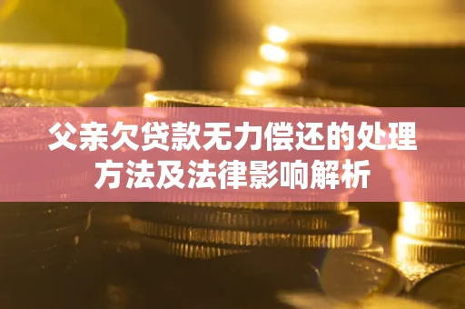 武汉父亲欠贷款无力偿还的处理方法及法律影响解析